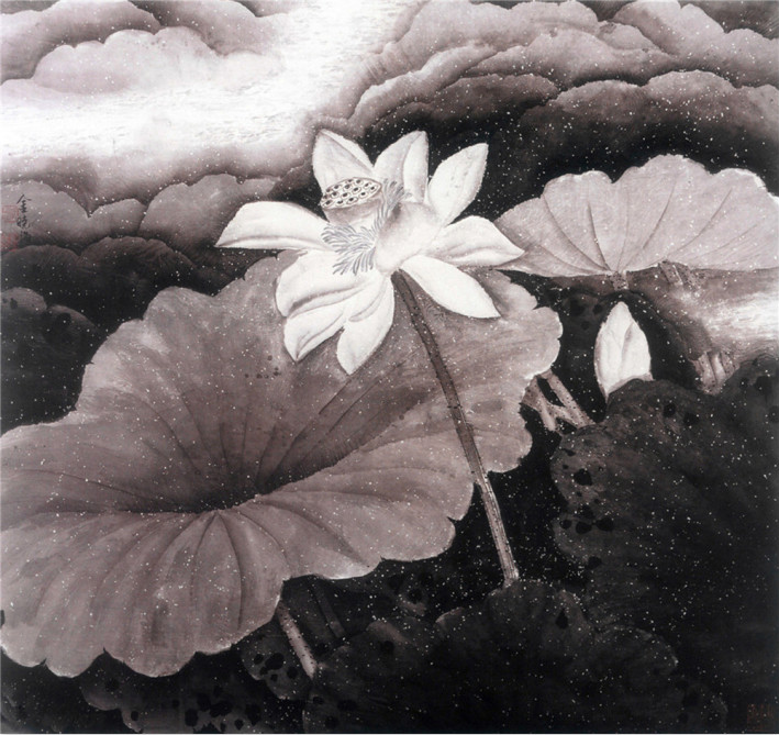 1551951354.jpg